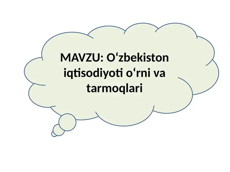 Oʻzbekiston iqtisodiyoti oʻrni va tarmoqlari