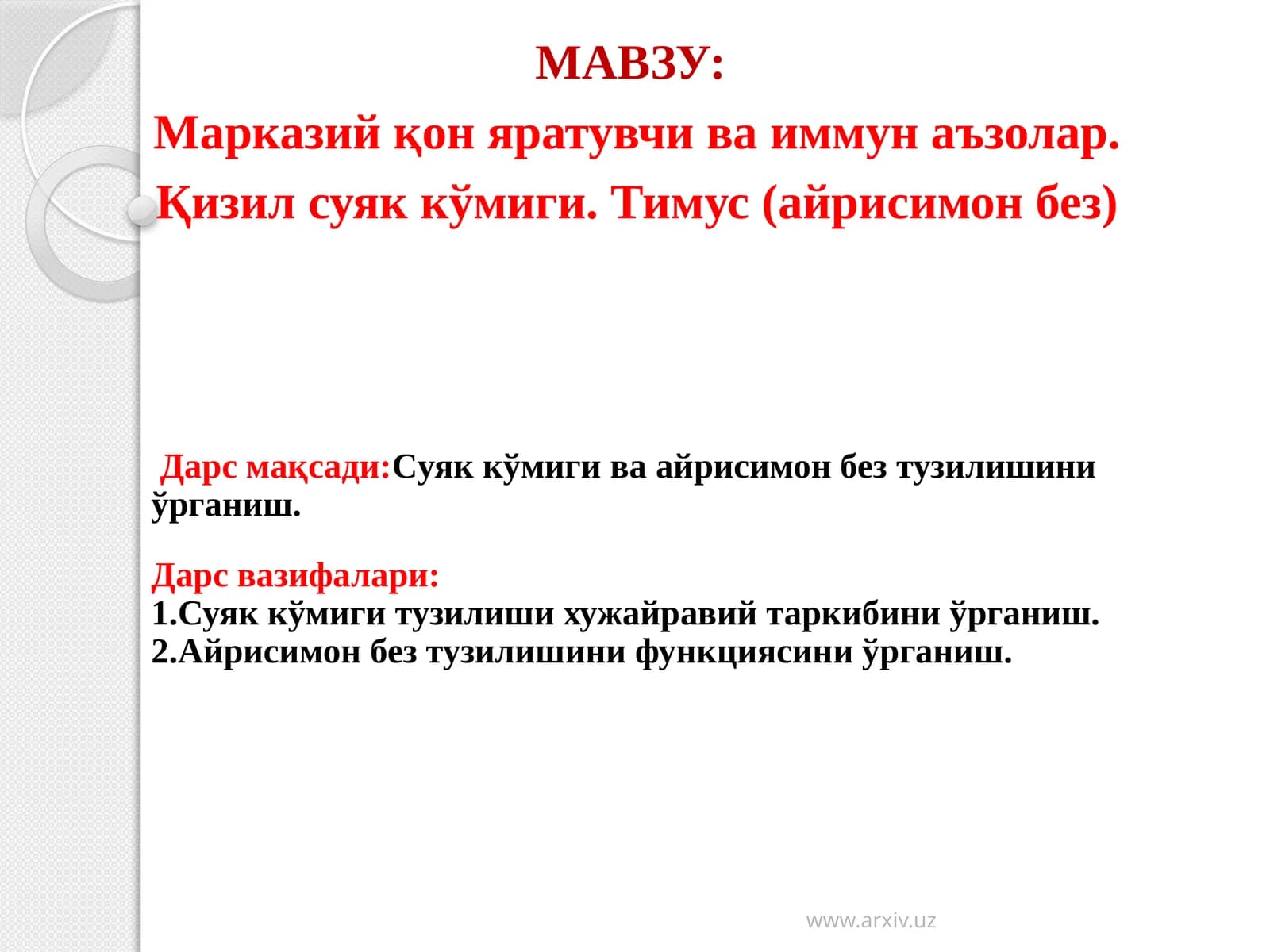 Кизил суяккўмиги. Тимус (айрисимонбез)