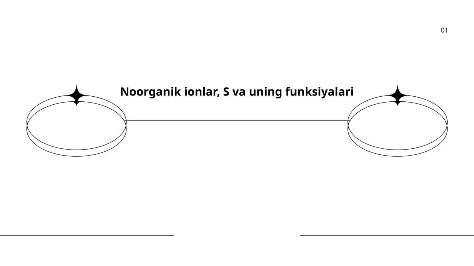 Noorganik ionlar, S va uning funksiyalari