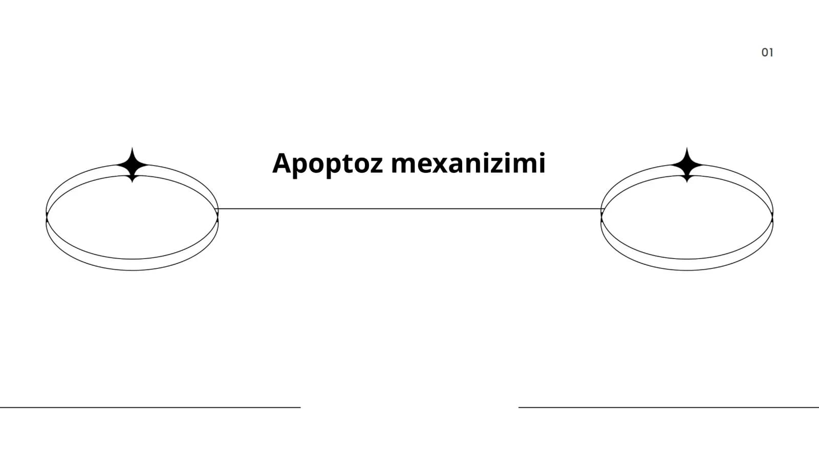 Apoptoz mexanizimi