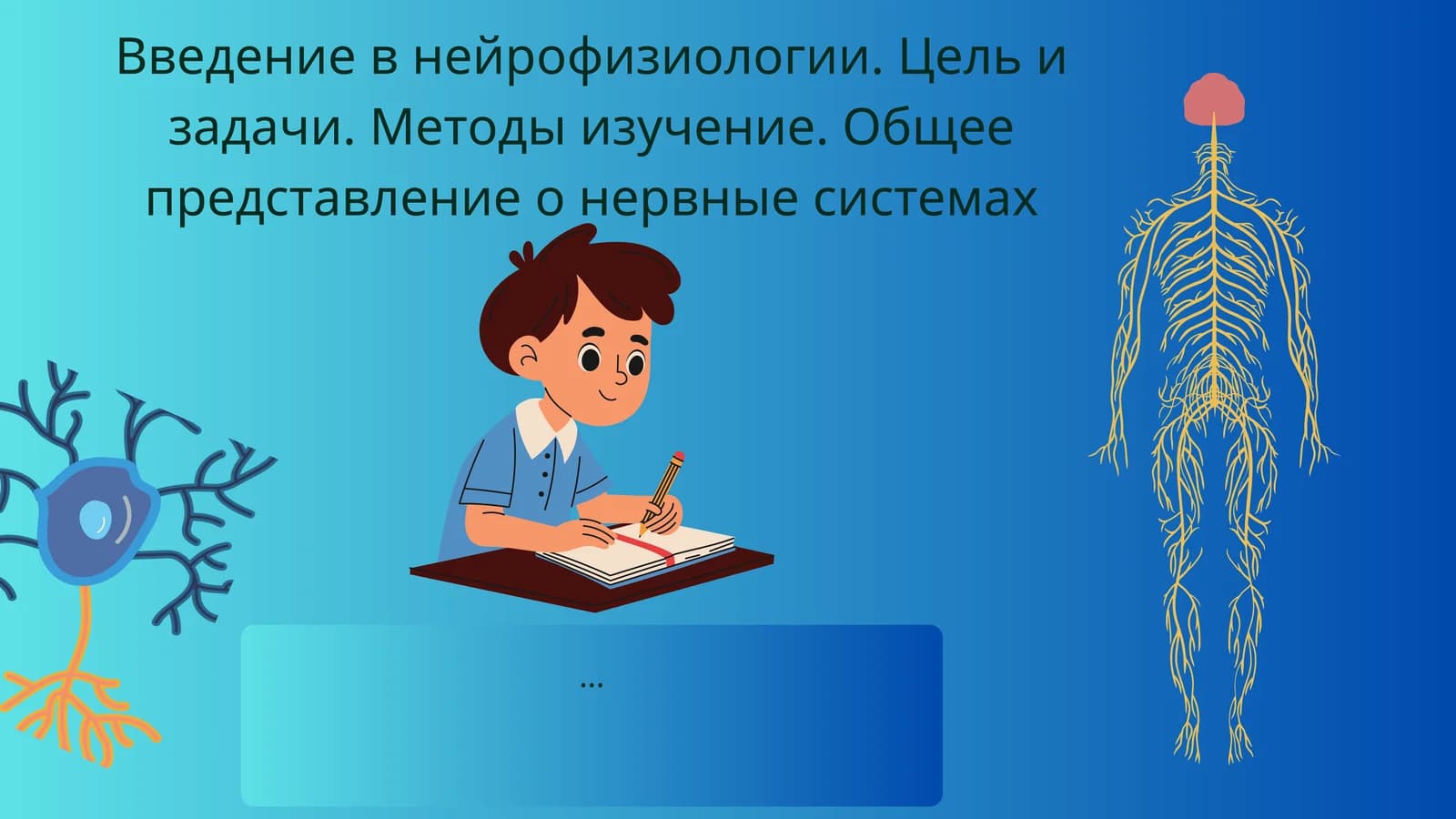 Введение в нейрофизиологии