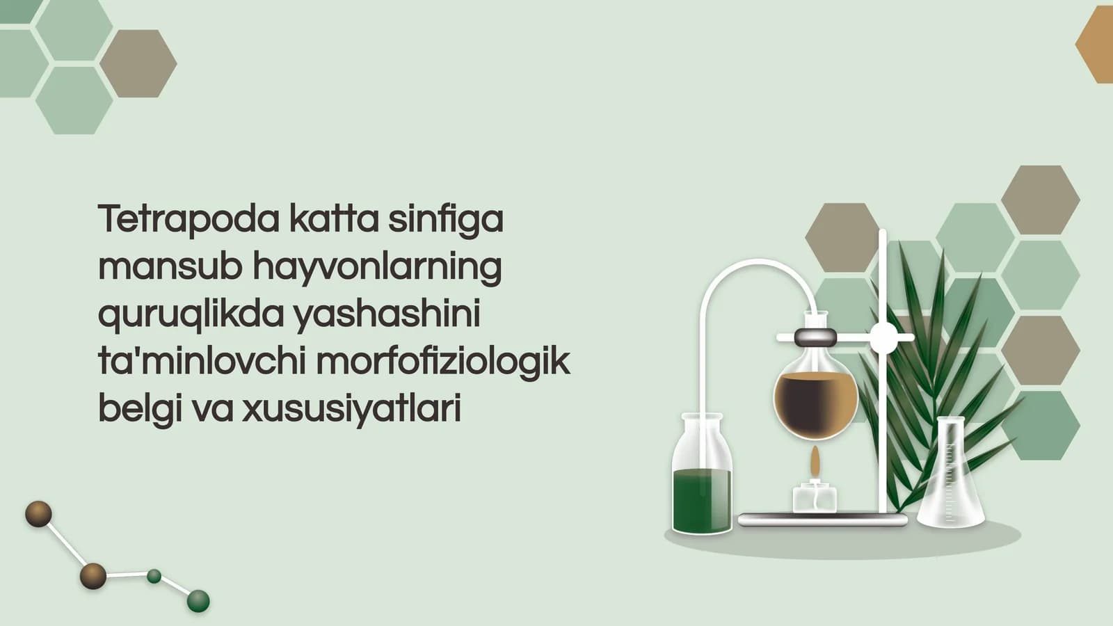 Tetrapodalar va morfofiziologik xususiyatlari