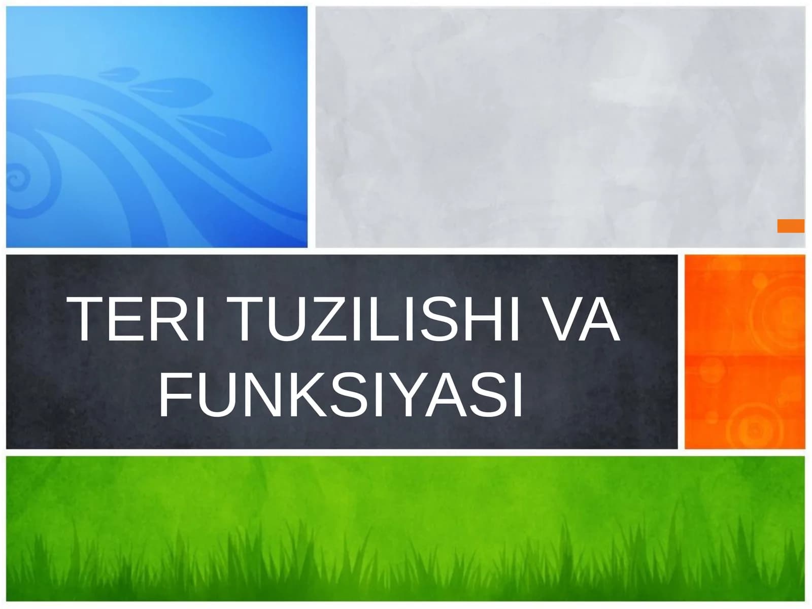 TERI TUZILISHI VA FUNKSIYASI