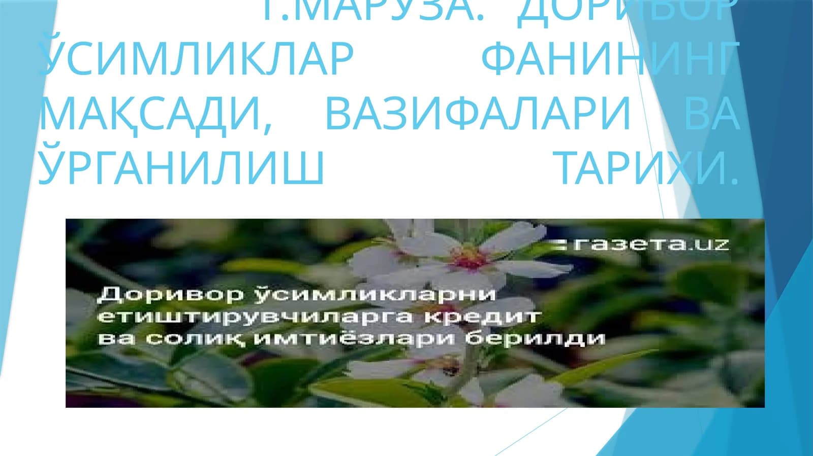 МАРУЗА. ДОРИВОР ЎСИМЛИКЛАР ФАНИНИНГ МАҚСАДИ, ВАЗИФАЛАРИ ВА ЎРГАНИЛИШ ТАРИХИ