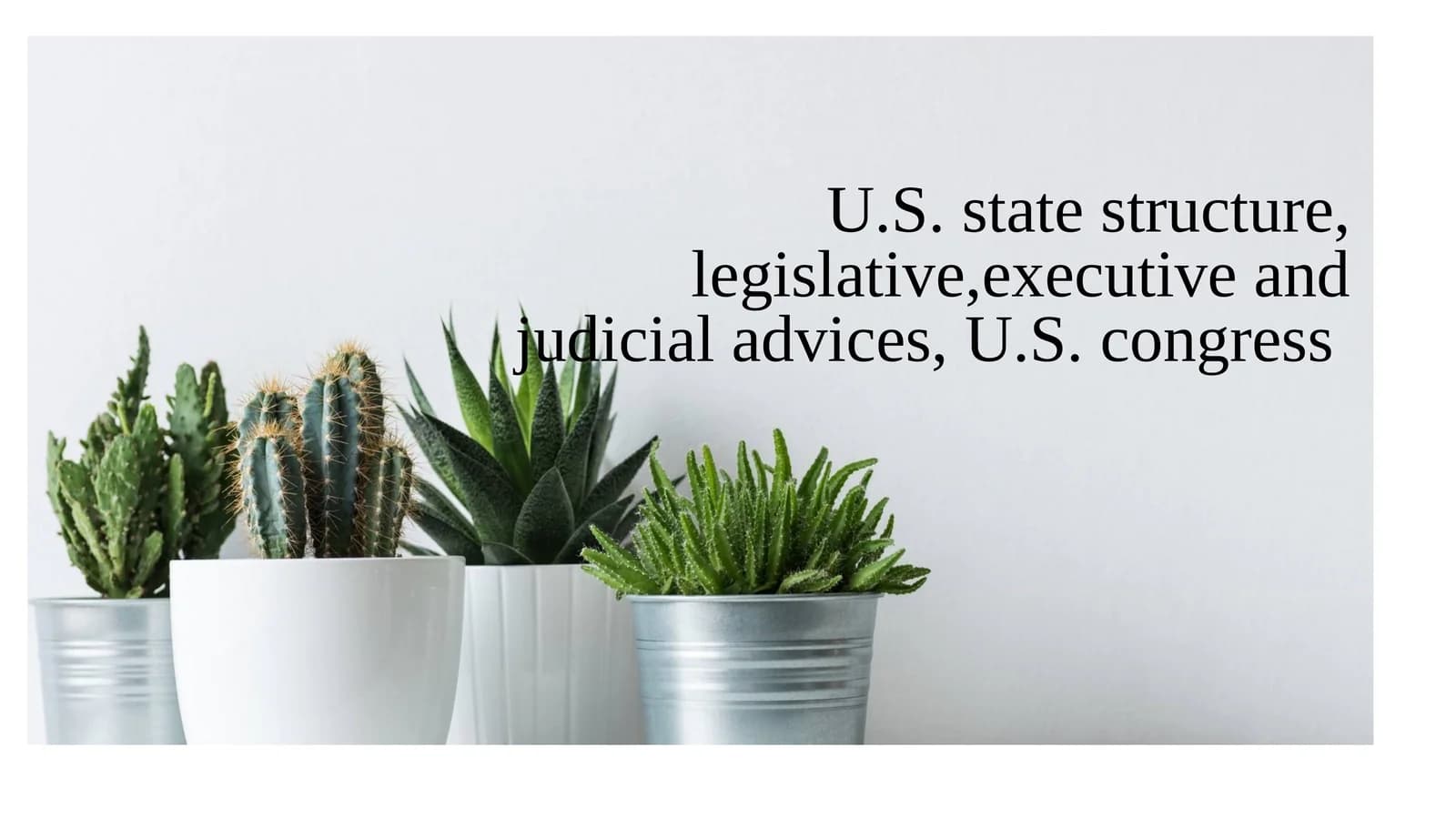 U.S. state structure, legislative, executive and judicial advices, U.S. congress
