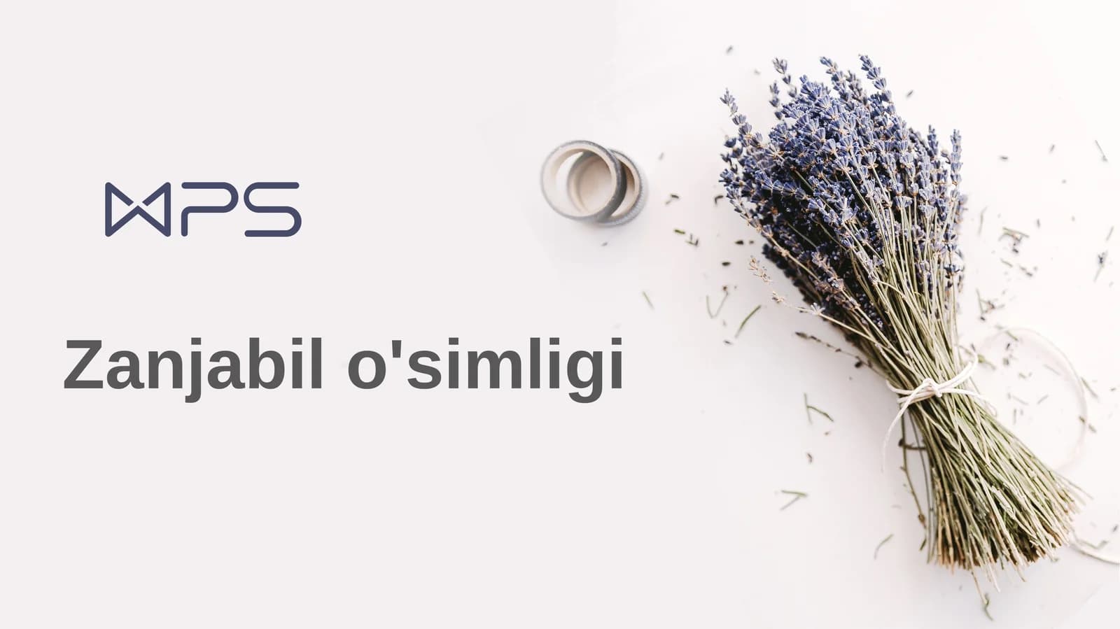 Zanjabil o'simligi