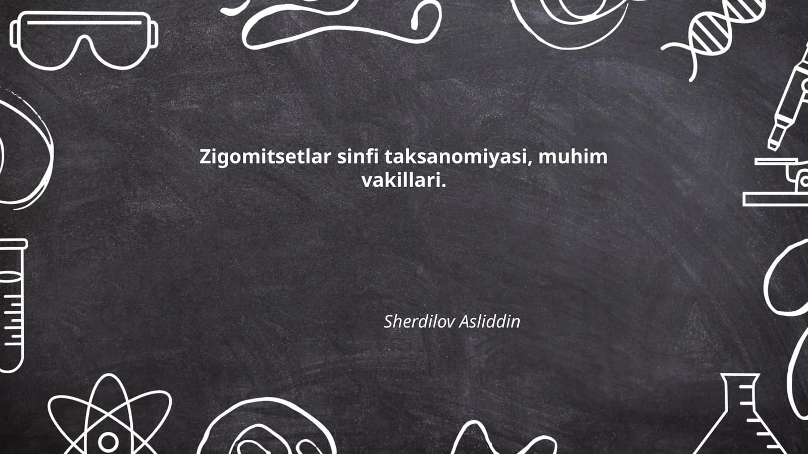 Zigomitsetlar sinfi taksanomiyasi, muhim vakillari