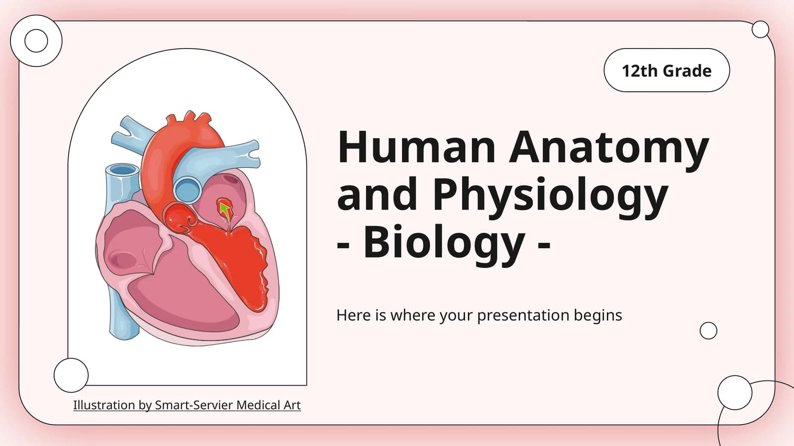 Human Anatomy and Physiology