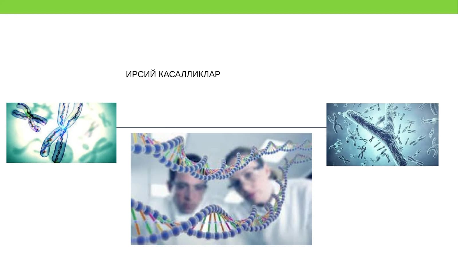 Ирсий касалликлар