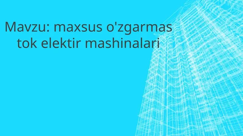 Maxsus o'zgarmas tok elektr mashinalari