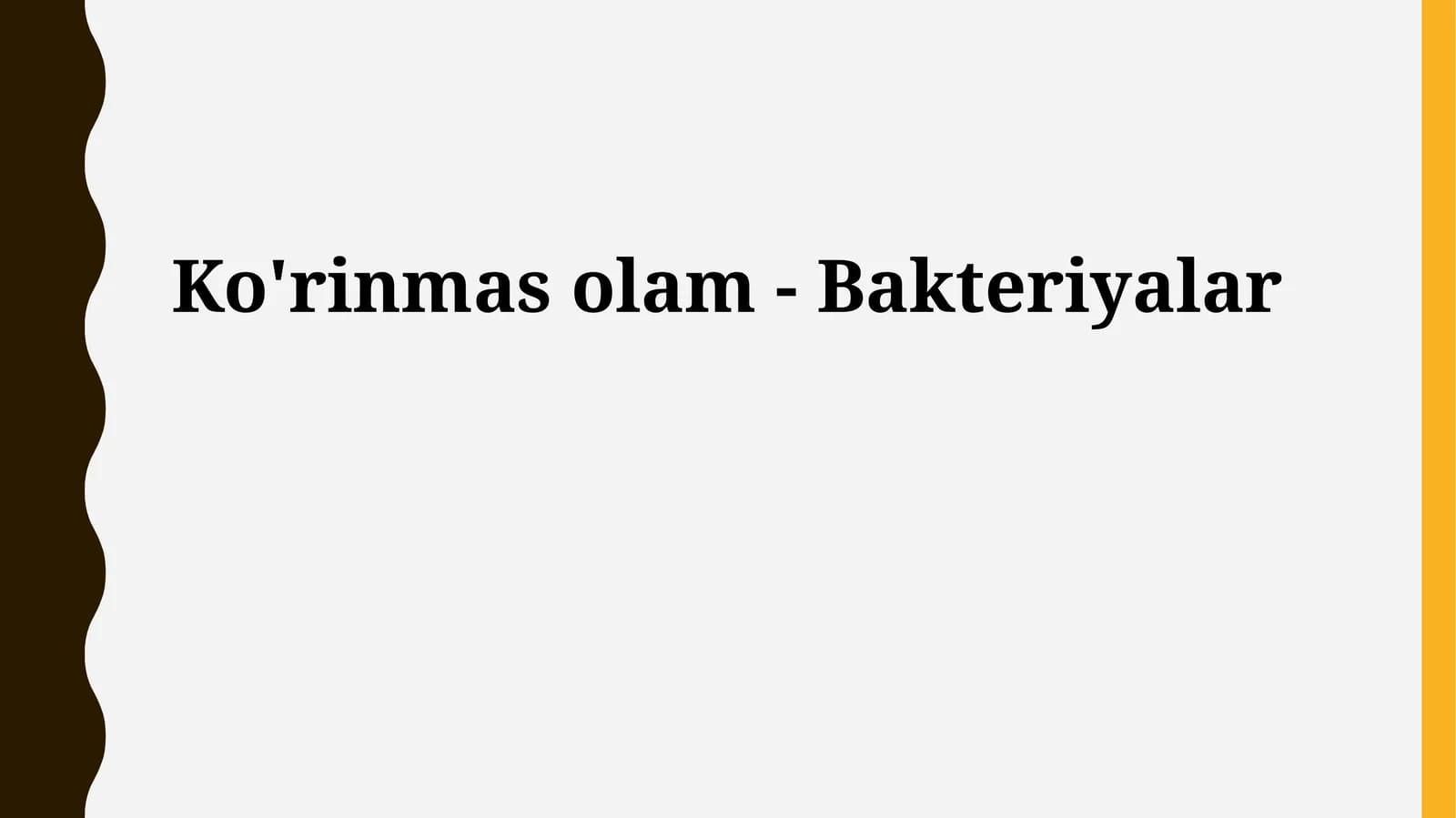 Ko'rinmas olam - Bakteriyalar