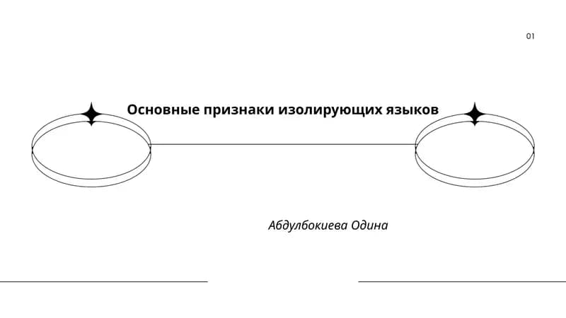 Основные признаки изолирующих языков