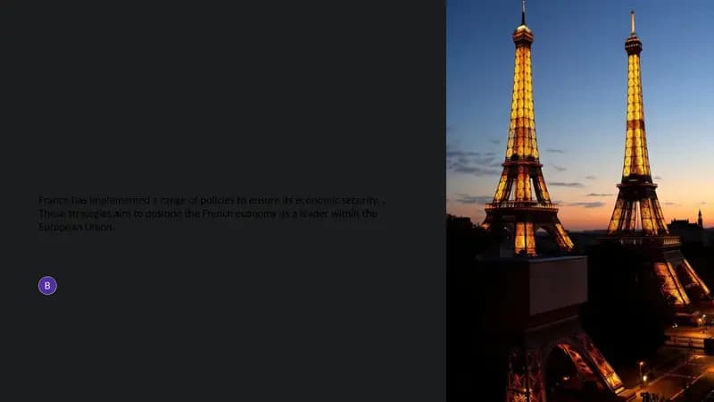 France's Economic Policies