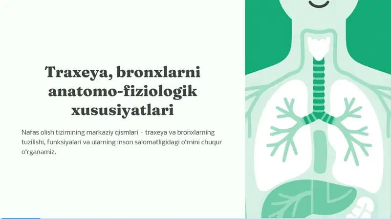 Traxeya, bronxlarni anatomo-fiziologik xususiyatlari