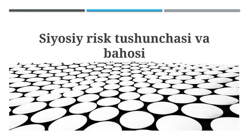 Siyosiy risk tushunchasi va bahosi