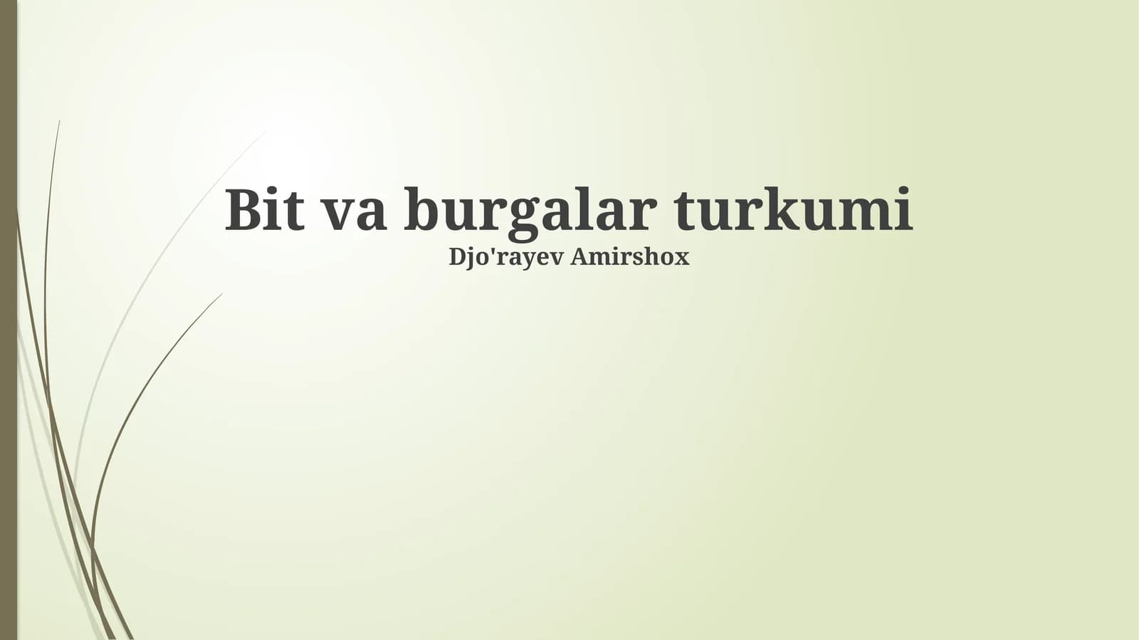 Bit va burgalar turkumi