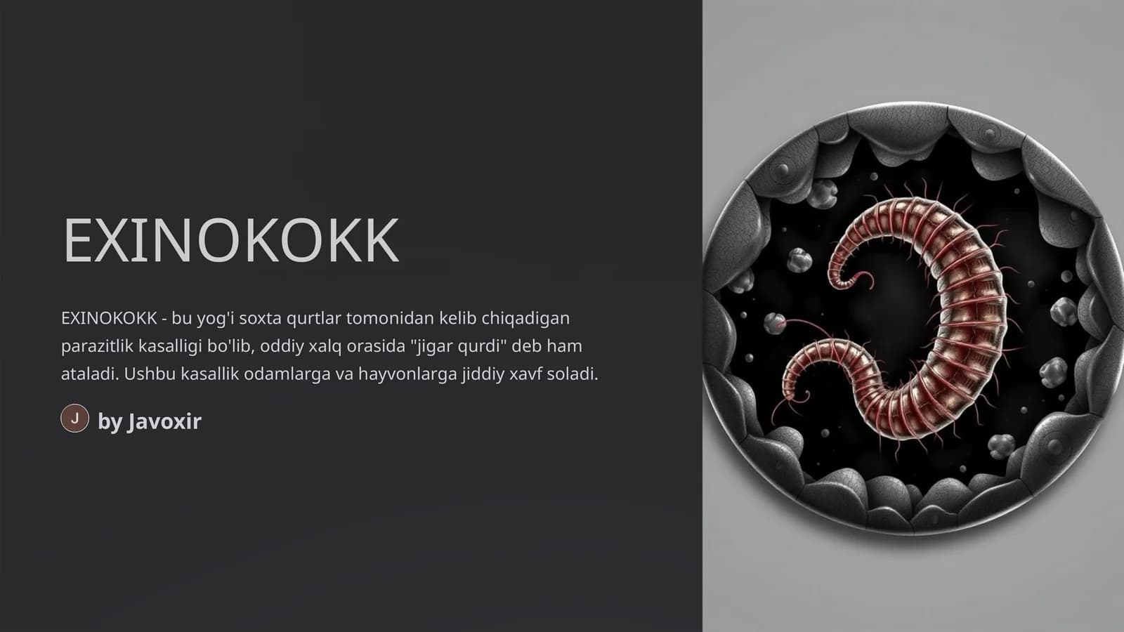 EXINOKOKK