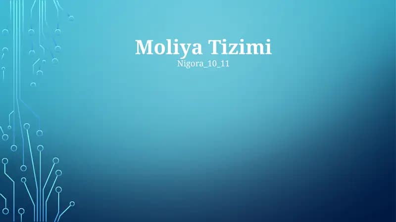 Moliya Tizimi