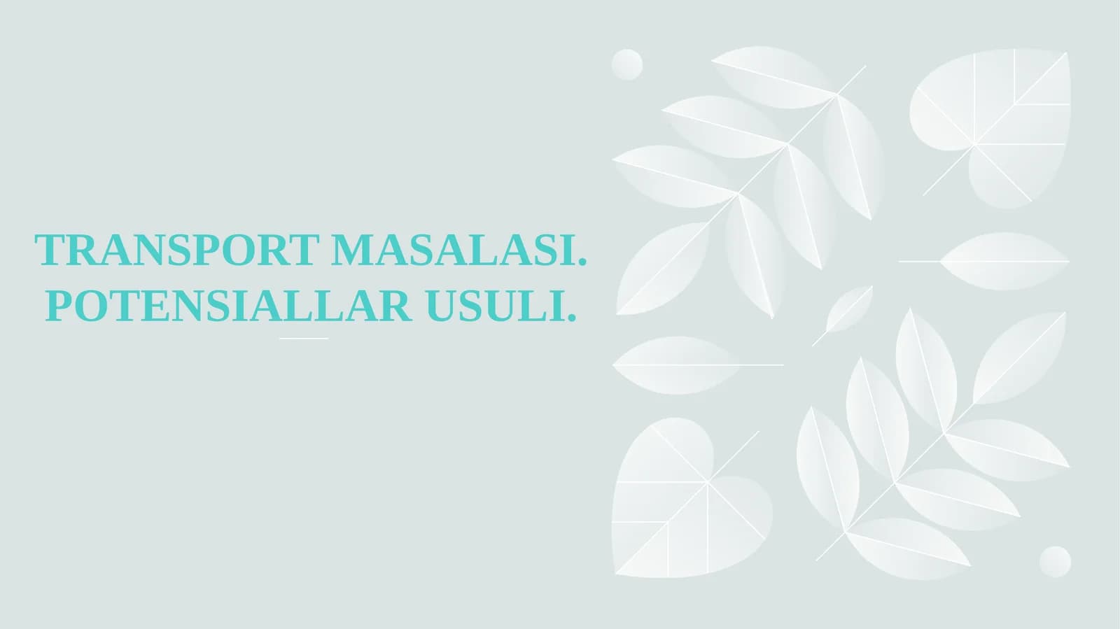 Transport masalasi. Potensiallar usuli.