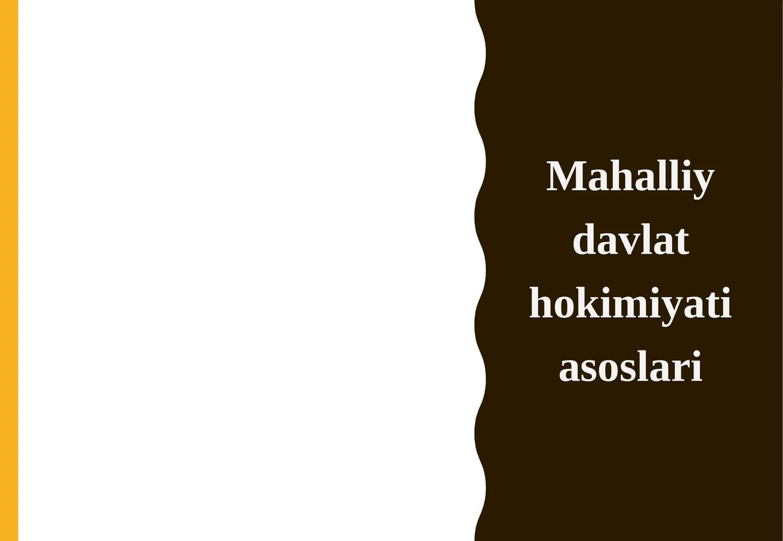 Mahalliy davlat hokimiyati asoslari.