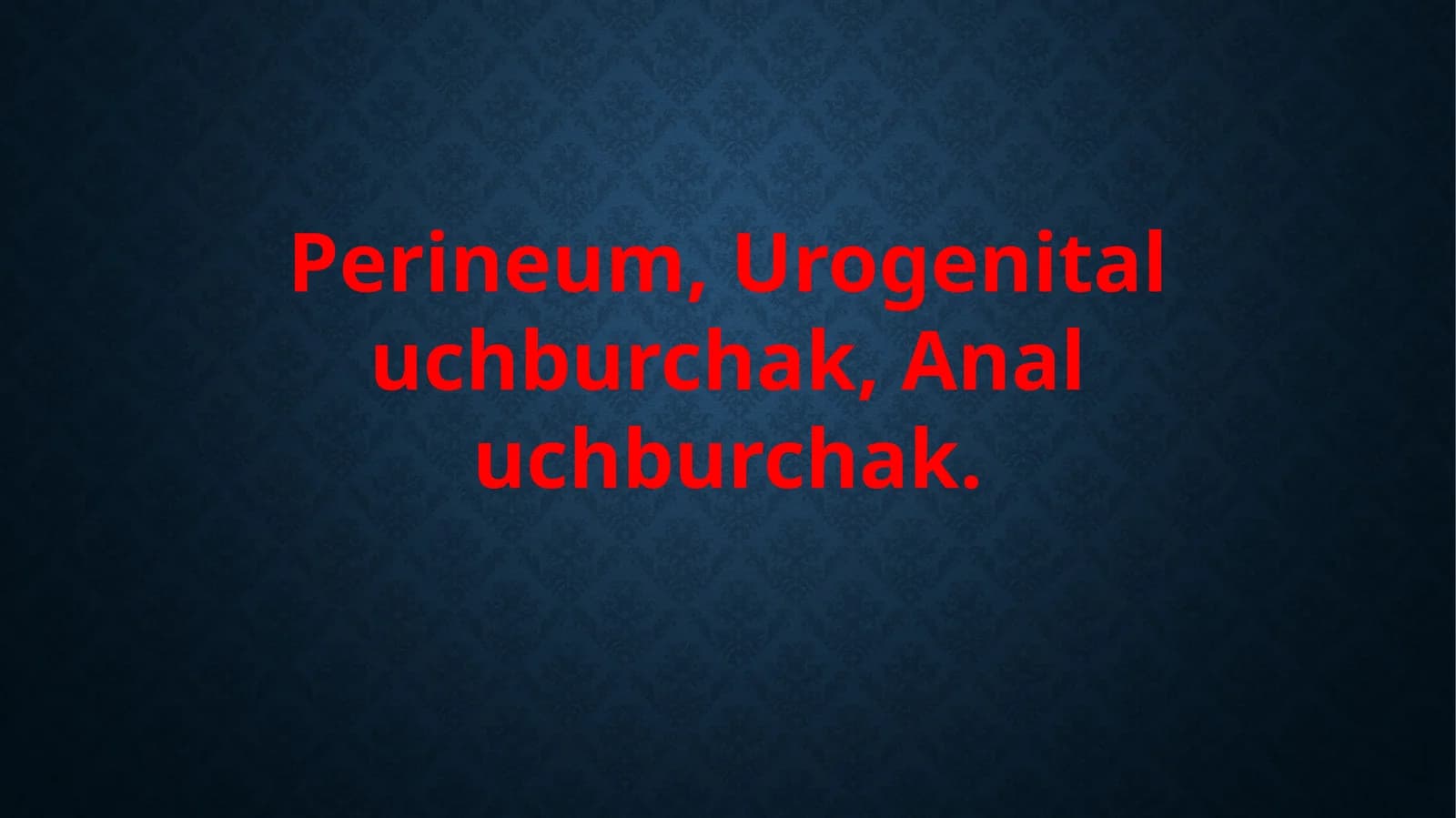 Perineum