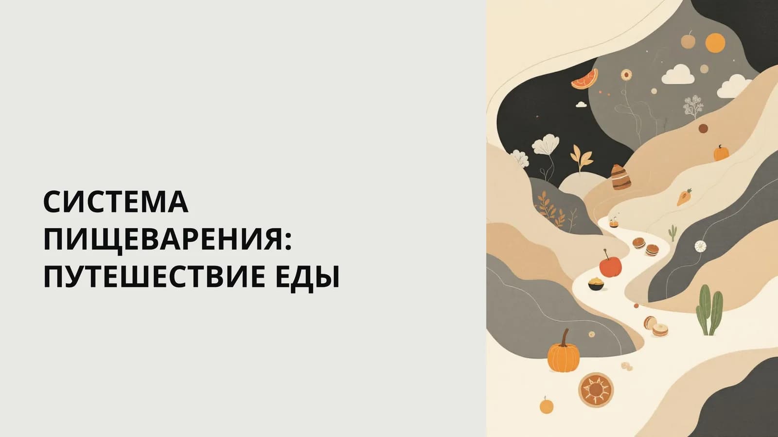 СИСТЕМА ПИЩЕВАРЕНИЯ: ПУТЕШЕСТВИЕ ЕДЫ