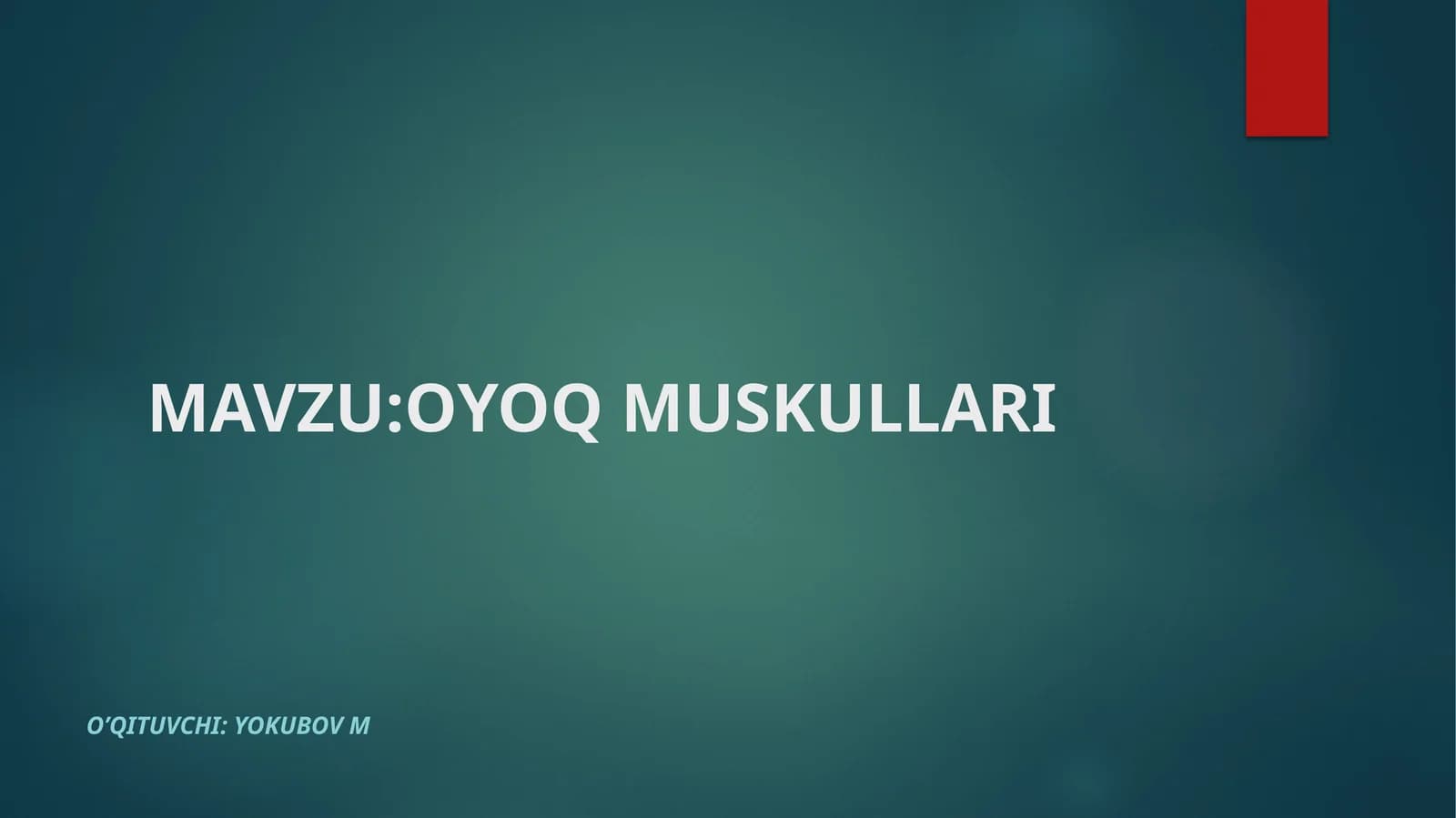 OYOQ MUSKULLARI