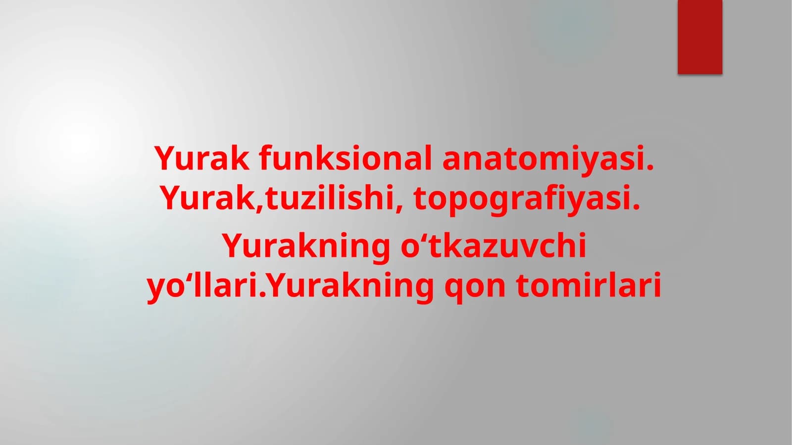 Yurak funksional anatomiyasi