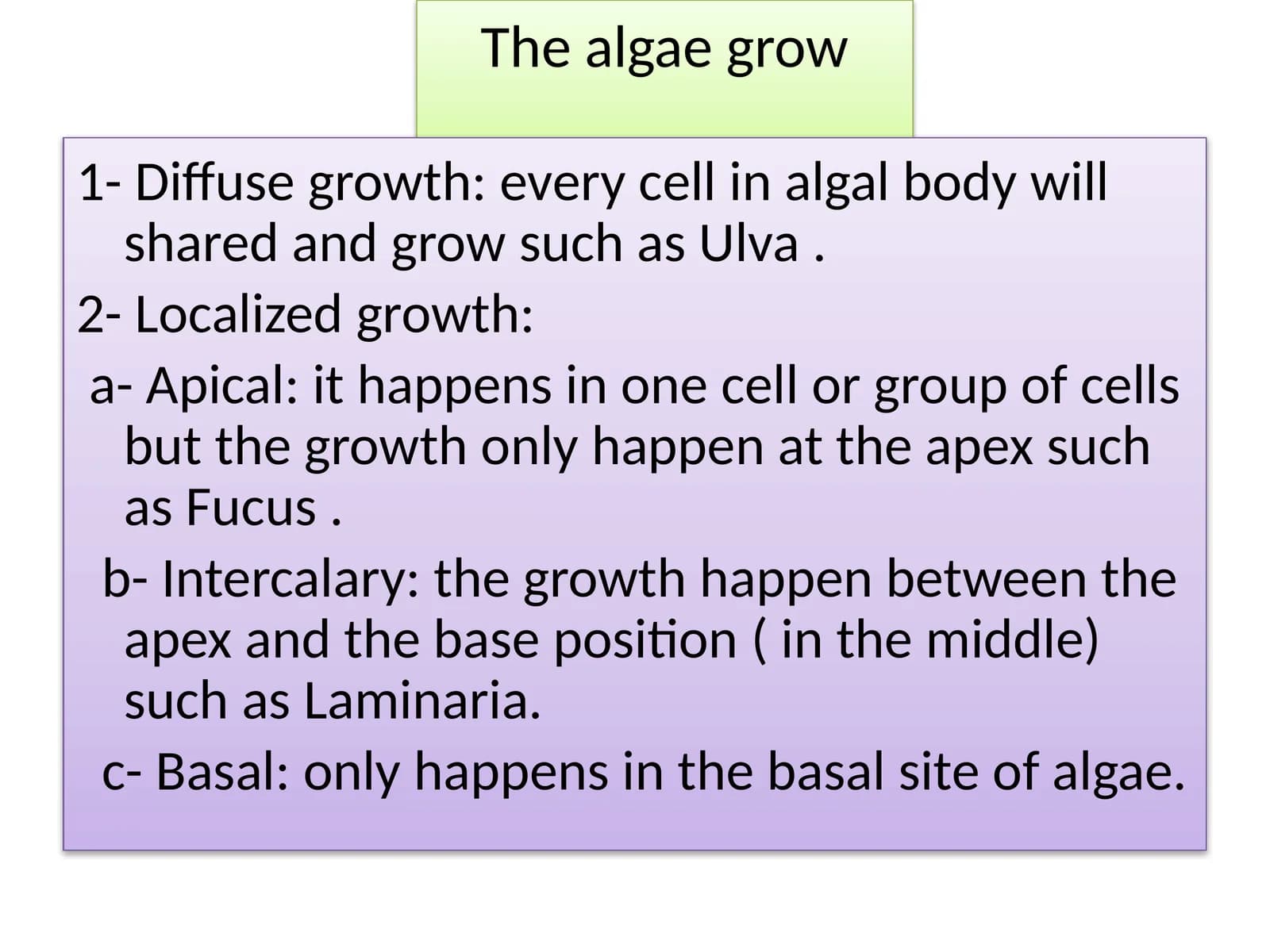 Algae Growth and Seasonal Life
