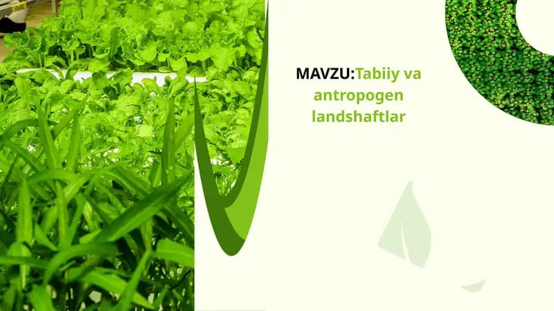 Tabiiy va antropogen landshaftlar