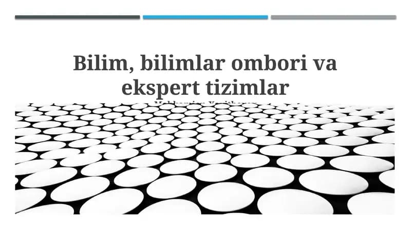 Fan va Bilimlar Ombori: Ekspert Tizimlariga Kirish