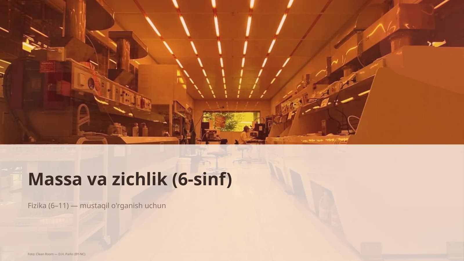 Massa va zichlik (6-sinf)