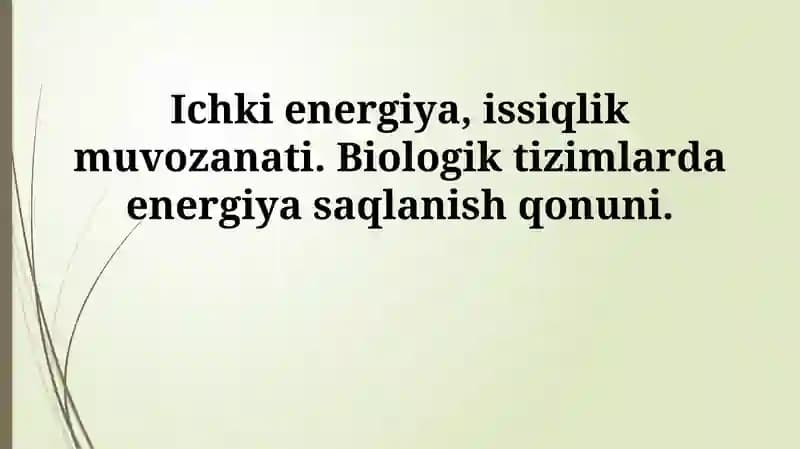 Ichki energiya va termal muvozanat