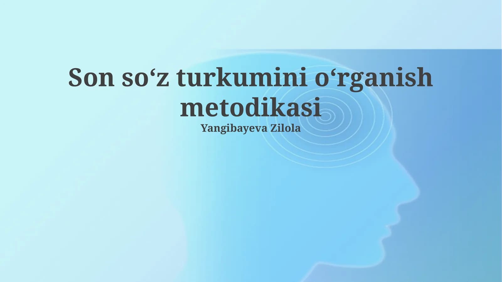 Son soʻz turkumini oʻrganish metodikasi