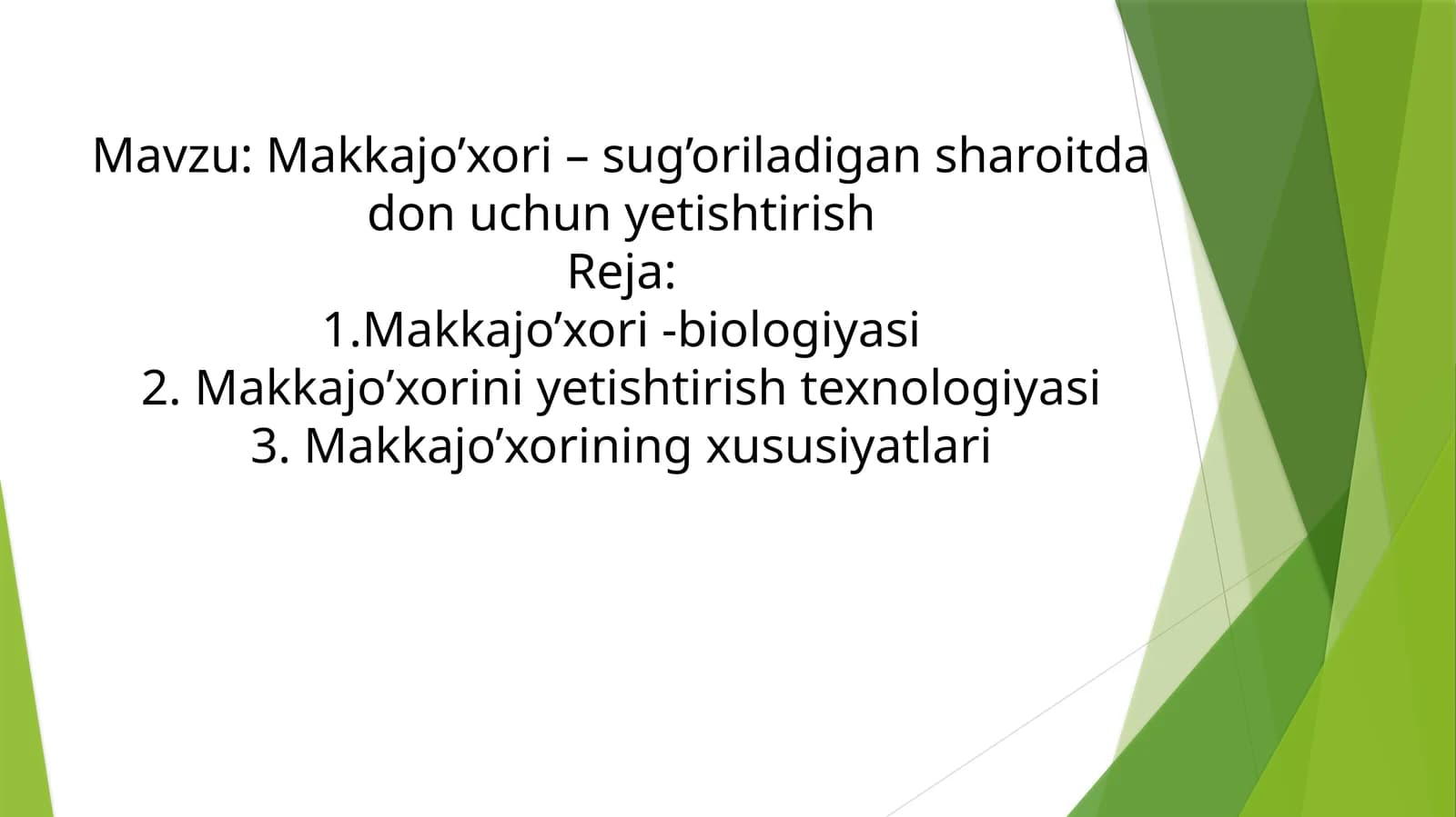 Makkajo’xori–sug’oriladigansharoitdadonuchunyetishtirish