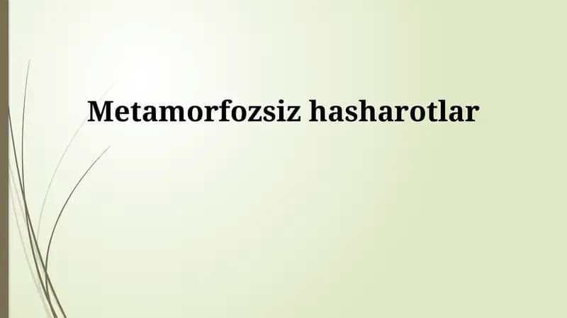 Metamorfoz