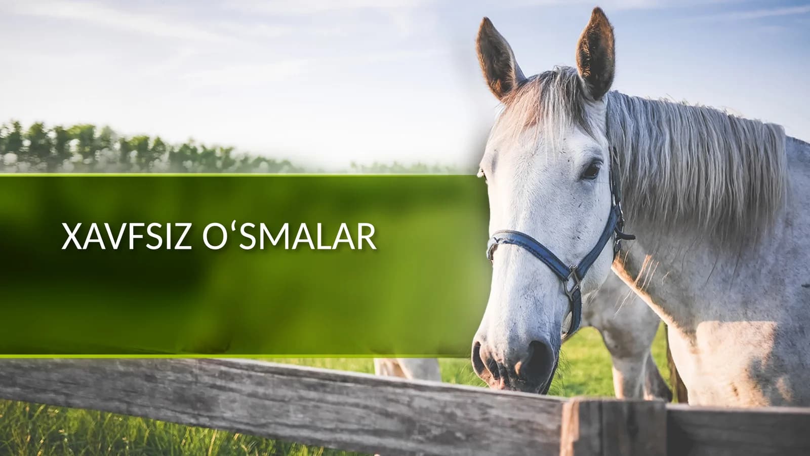 Xavfsiz o‘smalar (Taqdimot)