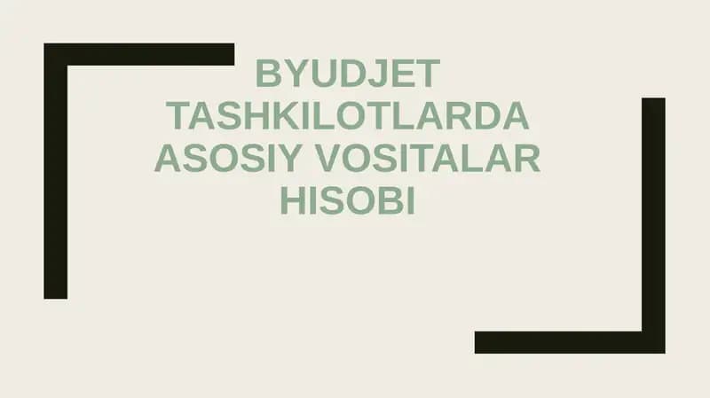 BYUDJET TASHKILOTLARDA ASOSIY VOSITALAR HISOBI