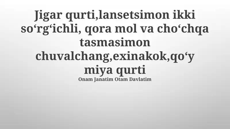 Oʻpka qurti