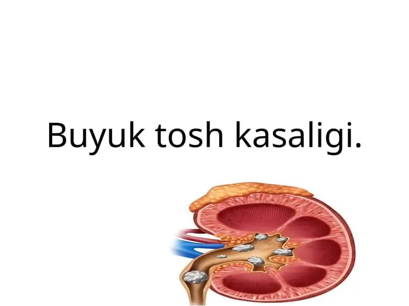 Buyuktoshkasaligi