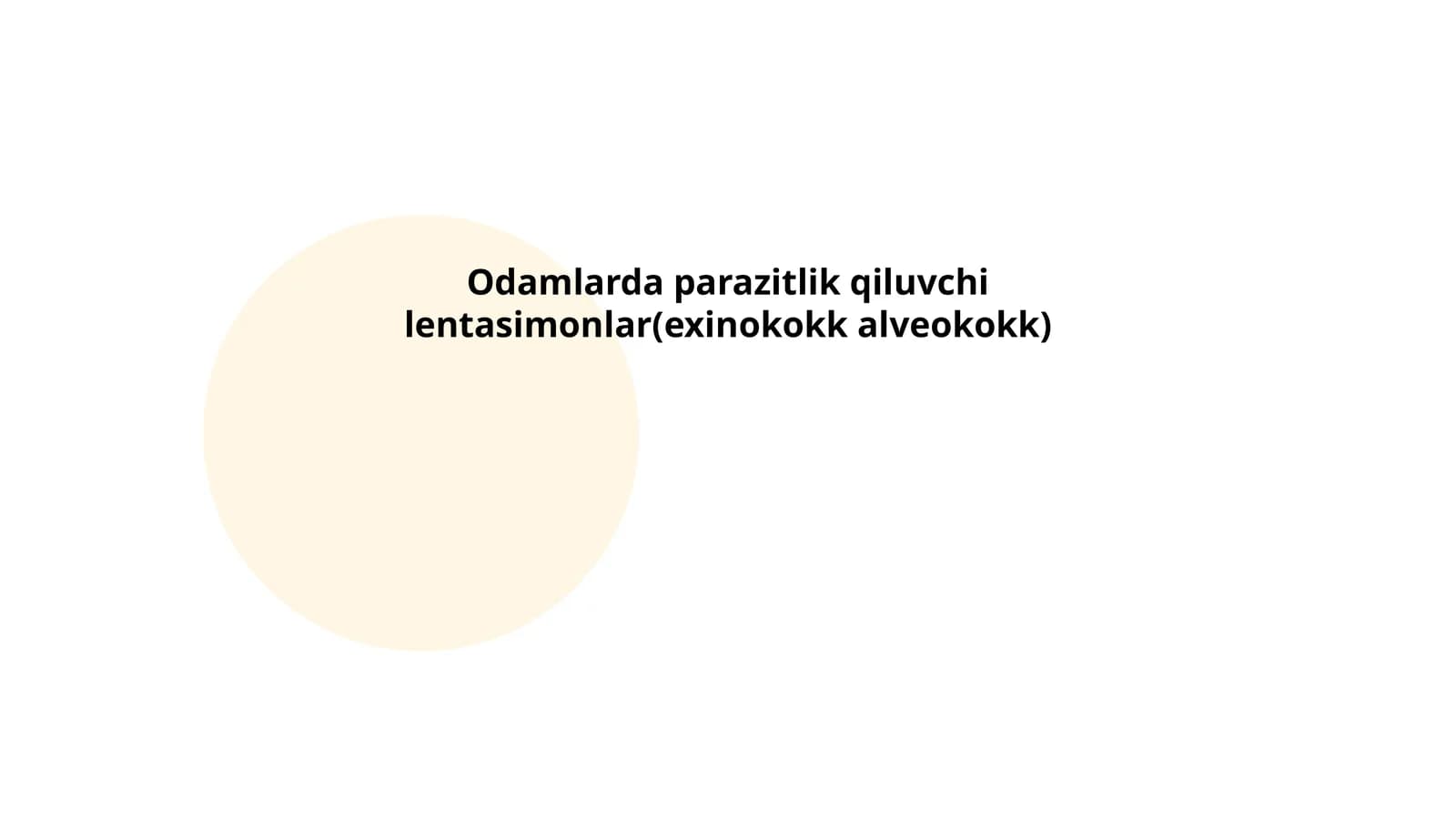 Lentasimon parazitlarning tuzilishi