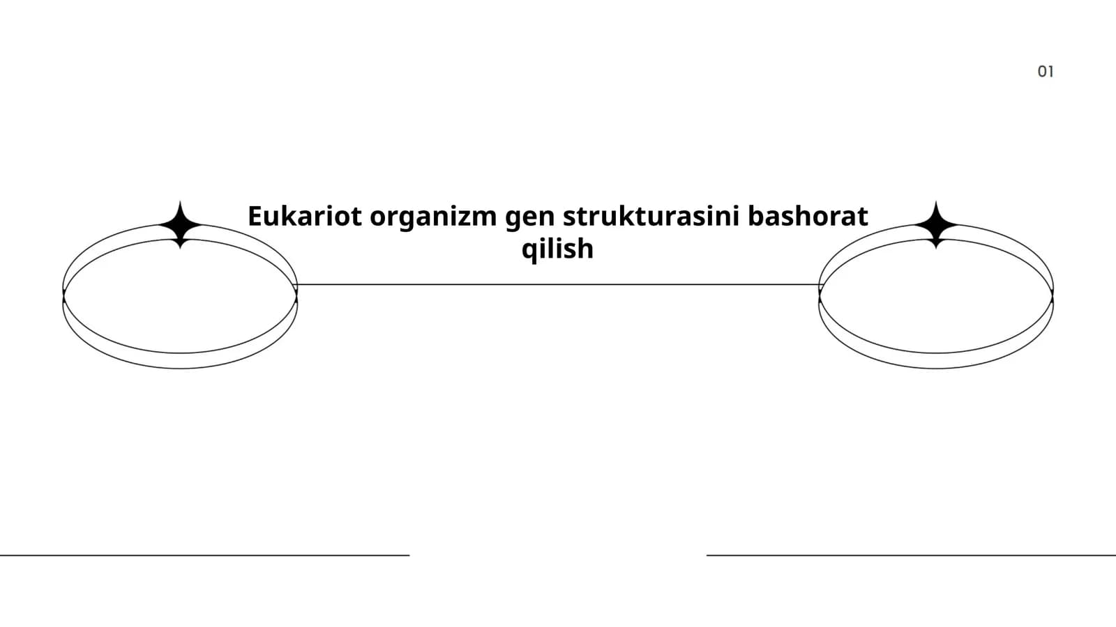 Eukariot organizm gen strukturasini bashorat qilish
