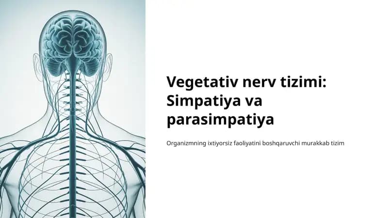 Vegetativ nerv tizimi