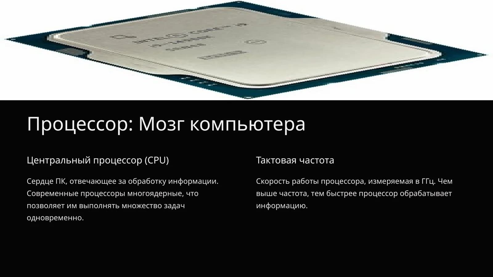 Процессор: Мозг компьютера