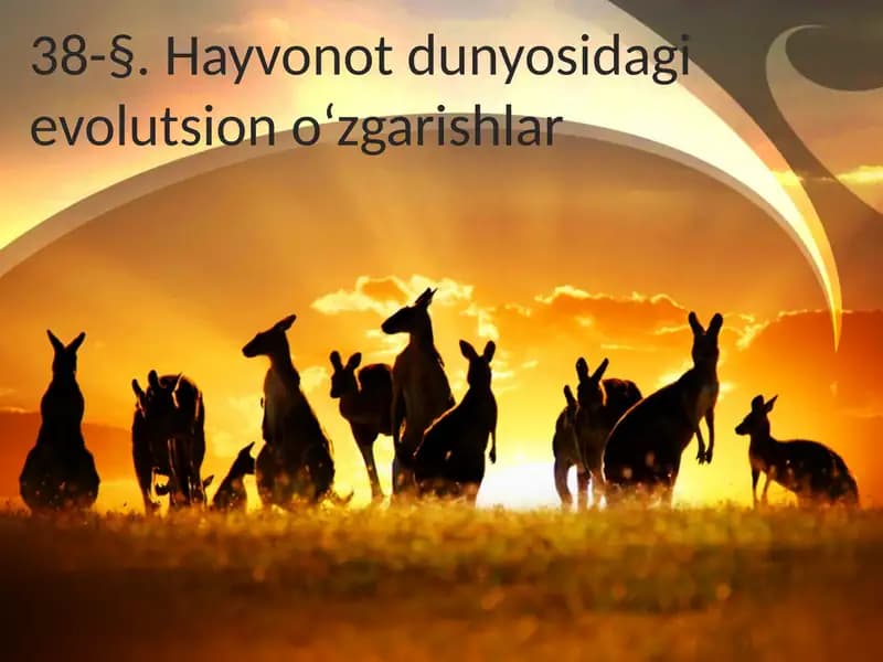 Hayvonotdunyosidagi evolutsiono‘zgarishlar