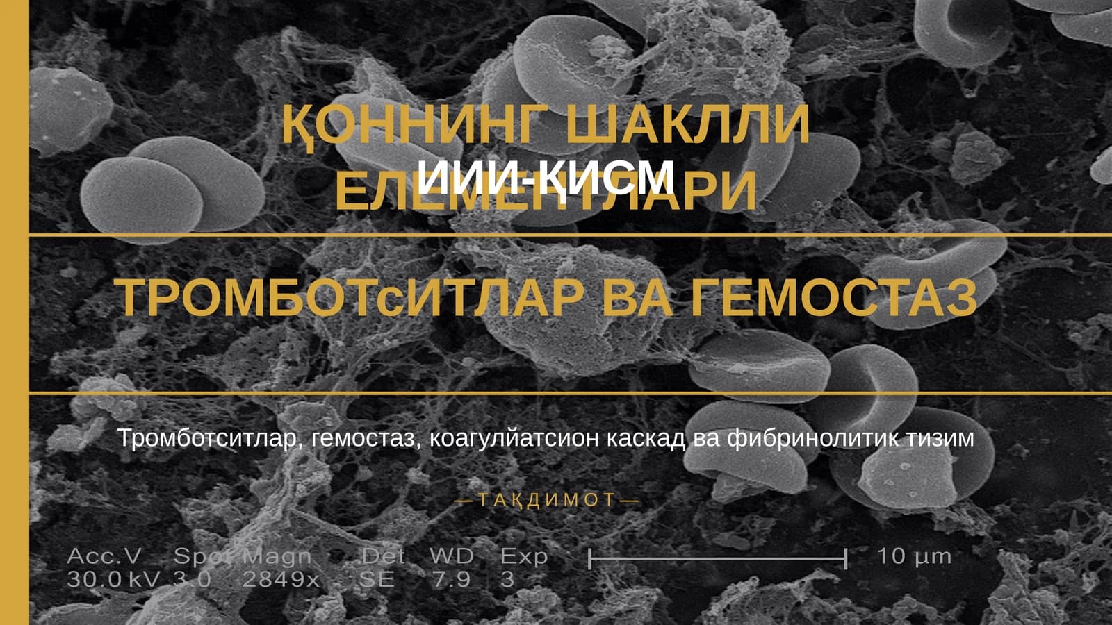 ТРОМБОТсИТЛАР ВА ГЕМОСТАЗ