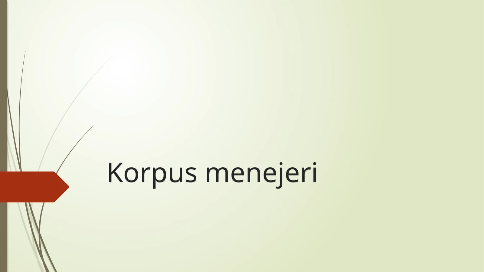 Korpus menejeri