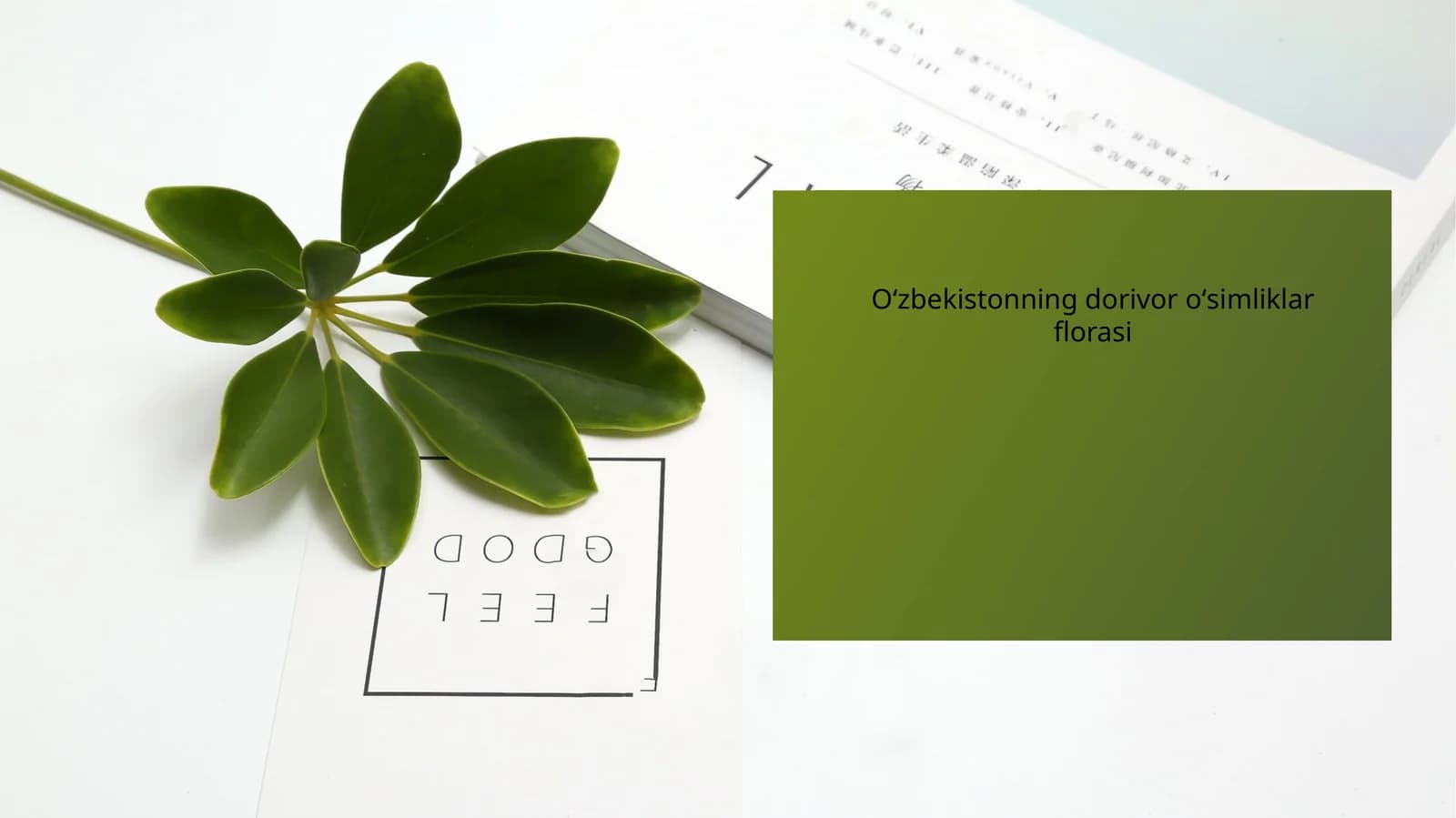 Oʻzbekistonning dorivor oʻsimliklar florasi