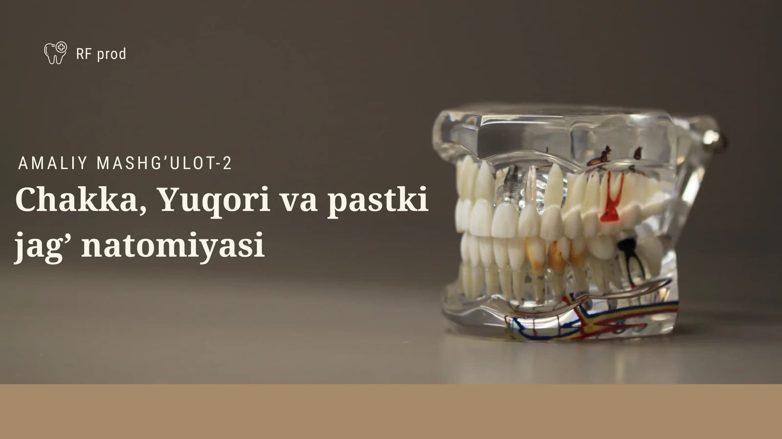 Chakka, Yuqori va pastki jag’ natomiyasi