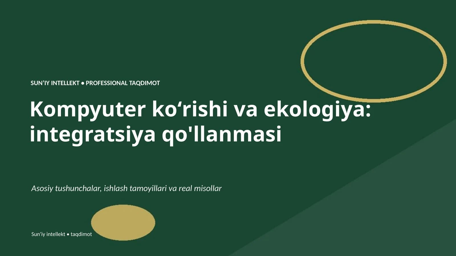 Kompyuter koʻrishi va ekologiya: integratsiya qo'llanmasi